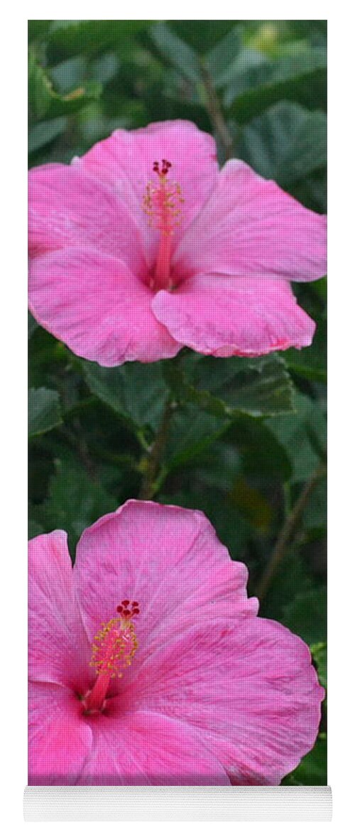 Flower Yoga Mat featuring the photograph Dark Pink Hibiscus Duo by Amy Fose