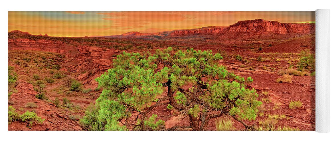 North America Yoga Mat featuring the photograph Dawn Light Capitol Reef National Park Utah by Dave Welling