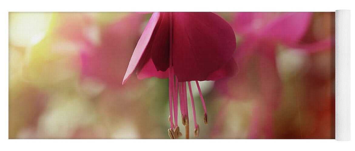 Pink Flower Yoga Mat featuring the photograph Dawn Petals by Mike Eingle