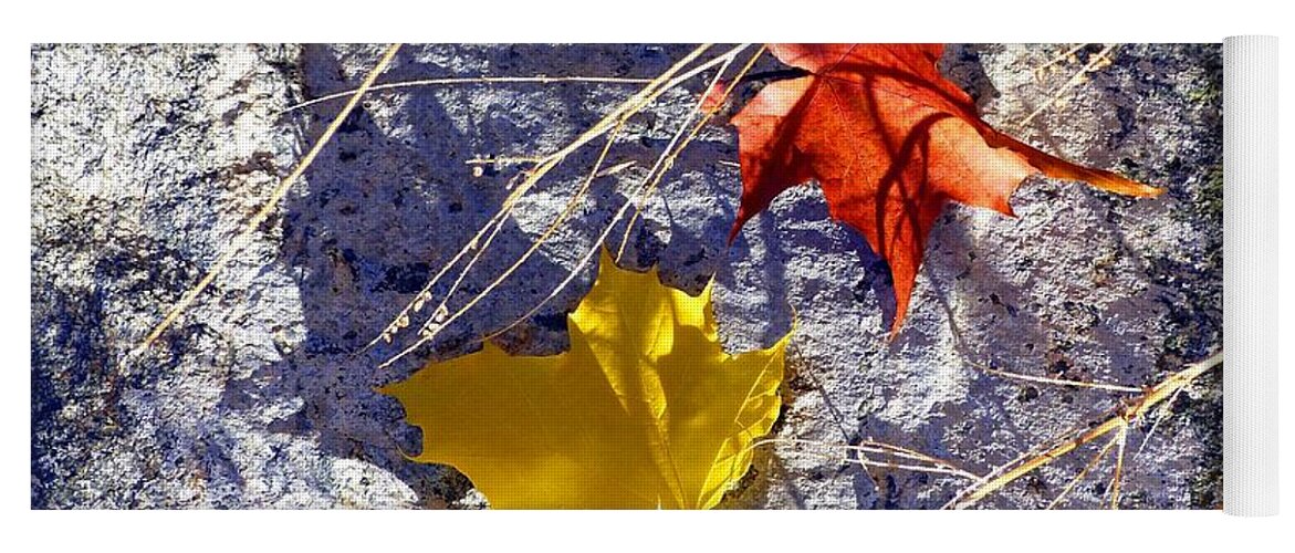 Maple Leaves Yoga Mat featuring the photograph Days Of Autumn 5 by Will Borden