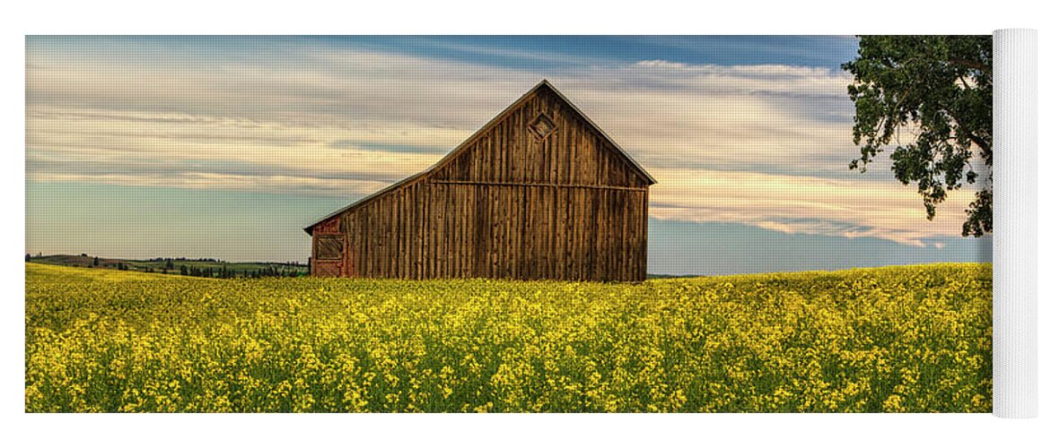 Canola Yoga Mat featuring the photograph Dazzling Canola in Bloom by Mark Kiver