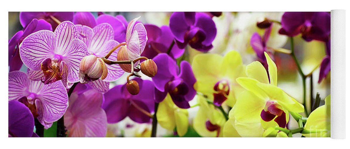 Decorative Yoga Mat featuring the photograph Decorative Orchids Still Life B82418 by Mas Art Studio