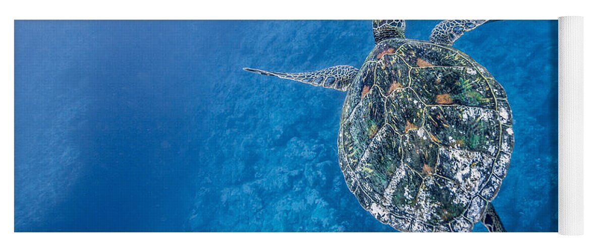Hawaiian Sea Turtle Yoga Mat featuring the photograph Deep Blue Turtle by Leonardo Dale