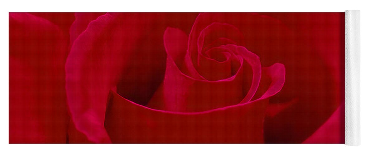 Red Rose Yoga Mat featuring the photograph Deep Red Rose by Mike McGlothlen