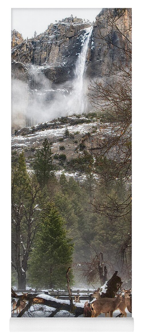 Yosemite Yoga Mat featuring the photograph Deer of Winter by Anthony Michael Bonafede