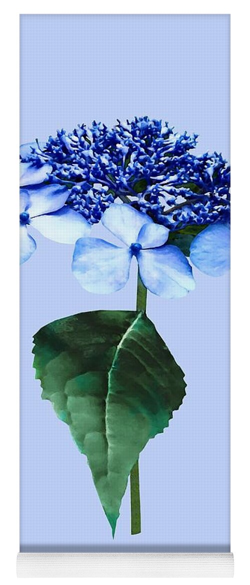 Hydrangea Yoga Mat featuring the photograph Delicate Blue Lacecap Hydrangea by Susan Savad