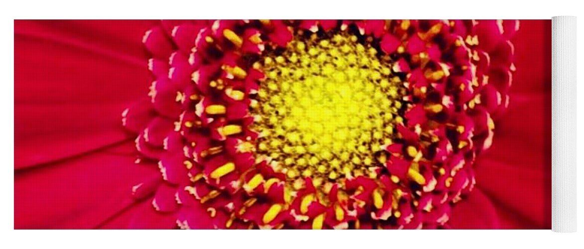 Flower Yoga Mat featuring the photograph Depth by Denise Railey