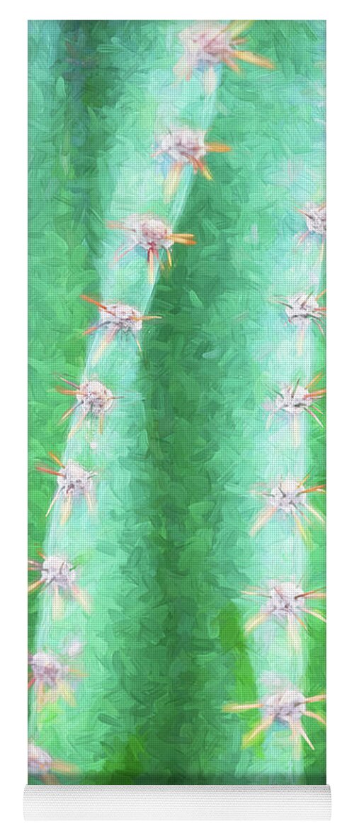  Yoga Mat featuring the photograph Desert Cactus and Succulents 026 by Rich Franco
