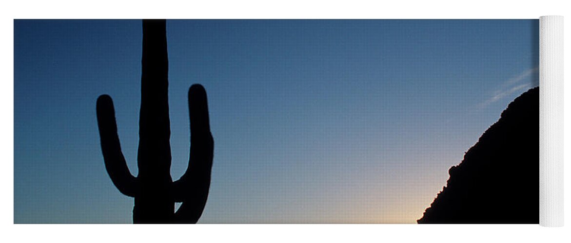 Cactus Yoga Mat featuring the photograph Desert cactus Sunrise by Ted Keller