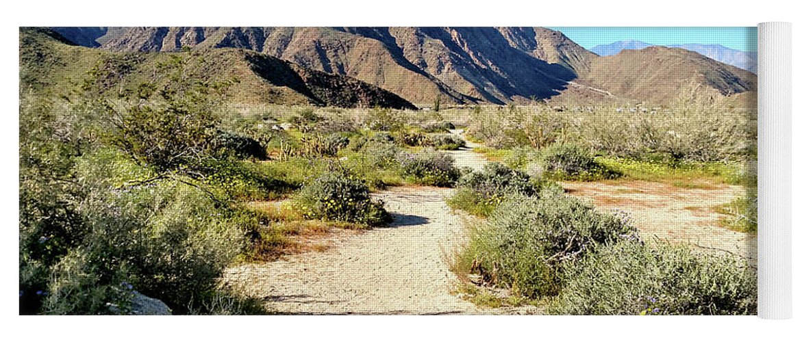Anza Borrego Desert State Park Yoga Mat featuring the photograph Desert Landscape by Michelle Joseph-Long