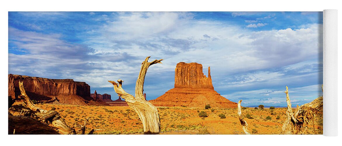 Monument Valley Yoga Mat featuring the photograph Desert Life IV by Raul Rodriguez
