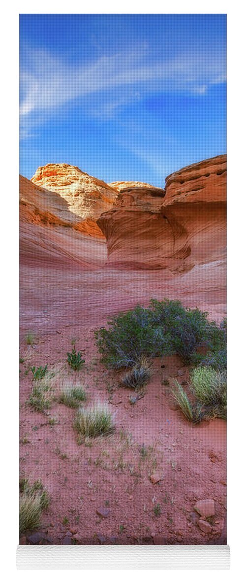 Desert Yoga Mat featuring the photograph Desert Oasis by Darren White