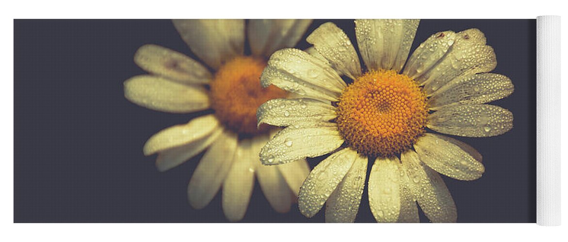 Dew Yoga Mat featuring the photograph Dew Drop Daisies by Cheryl Baxter