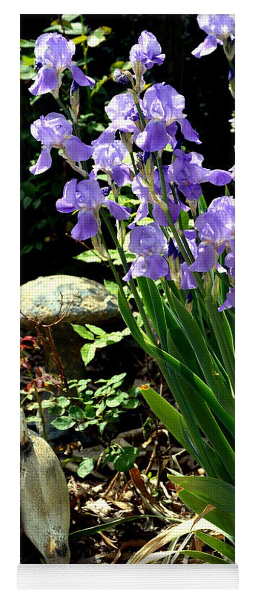 Iris Yoga Mat featuring the photograph Digging Iris Bulbs by Lesa Fine