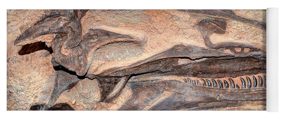Dinosaur Skull Yoga Mat featuring the photograph Dinosaur Skull and Teeth in Rock - Utah by Gary Whitton