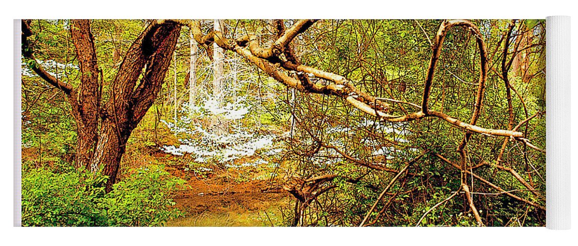 Dogwood Tree Yoga Mat featuring the photograph Dogwood Tree in the Forest Spring by A Macarthur Gurmankin
