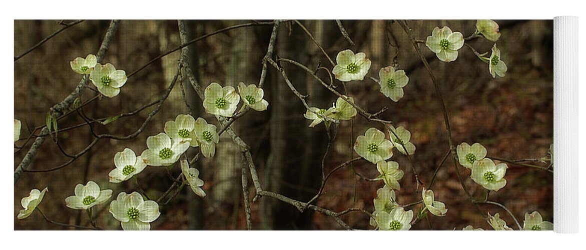 Dogwood Yoga Mat featuring the photograph Dogwoods In The Spring by Mike Eingle