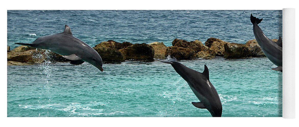 Dolphins Yoga Mat featuring the photograph Dolphins Showtime by Adriana Zoon