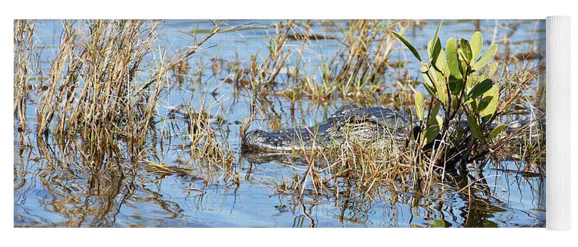 Darin Volpe Animals Yoga Mat featuring the photograph Don't Think I Don't See You There - American Alligator at Merritt Island National Wildlife Refuge by Darin Volpe