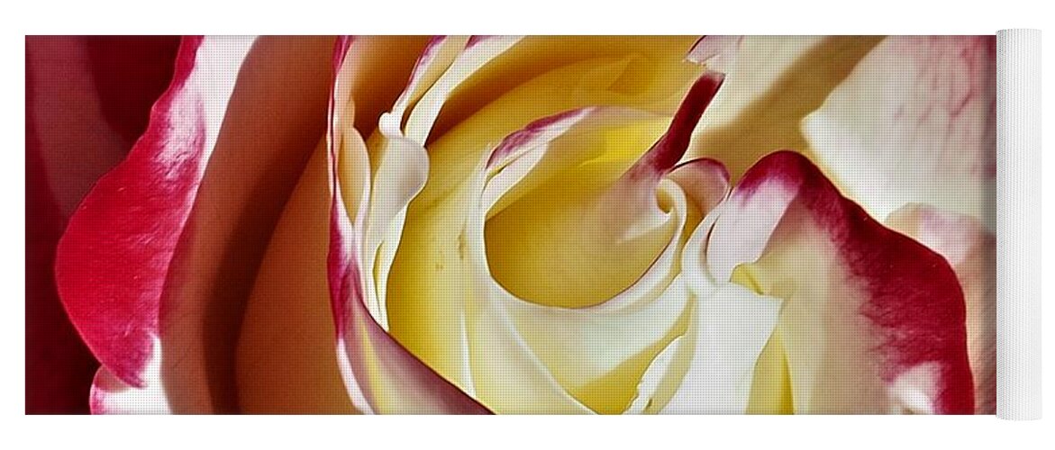 Rose Yoga Mat featuring the photograph Double Delight Rose by Jerry Connally