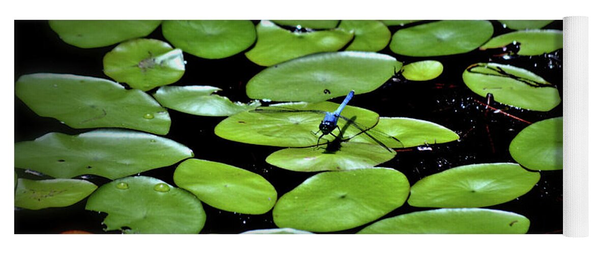 Dragonfly Yoga Mat featuring the photograph Dragonfly Among the Lily Pads by Tara Potts