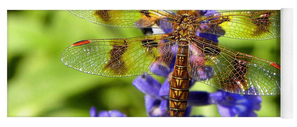 Dragonfly Yoga Mat featuring the photograph Dragonfly by Sandi OReilly