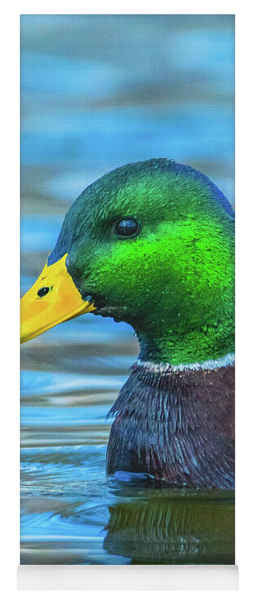 20170128 Yoga Mat featuring the photograph Dripping Duck by Jeff at JSJ Photography