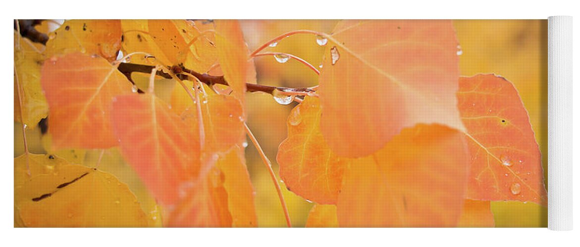 Autumn Yoga Mat featuring the photograph Drops of Autumn by Diane Mintle