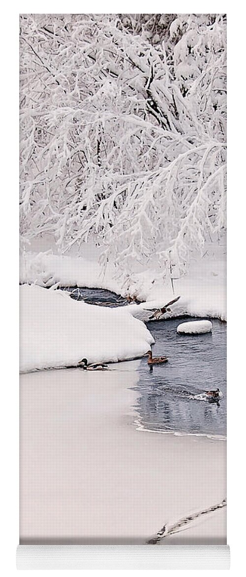 Ducks In The Winter Print Yoga Mat featuring the photograph Ducks Winter Play land Print by Gwen Gibson