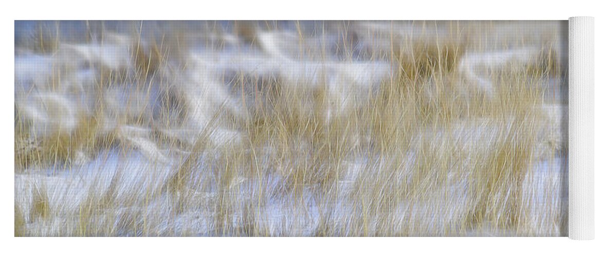 Dune Grasses Snowscape Yoga Mat featuring the photograph Dune Grasses Snowscape by Marty Saccone