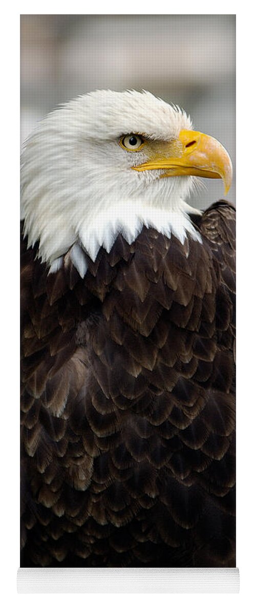 Eagle Yoga Mat featuring the photograph Eagle by Doug Gibbons