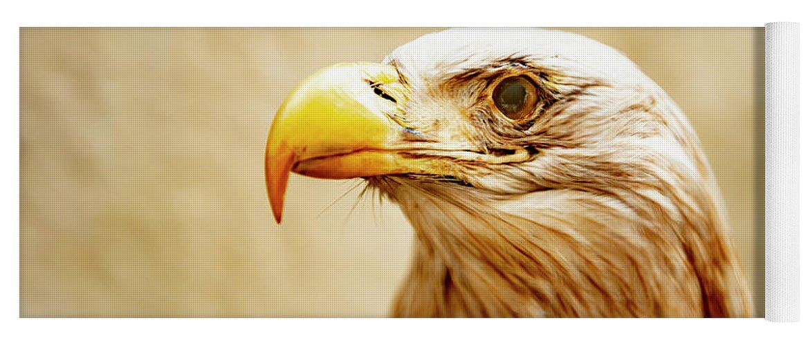 Eagle Yoga Mat featuring the photograph Eagle by Mats Silvan