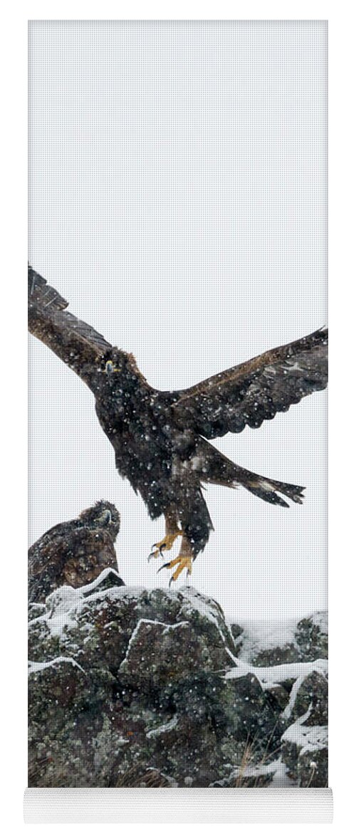 Eagles Yoga Mat featuring the photograph Eagles in the Storm by Michael Dawson