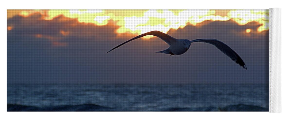 Seas Yoga Mat featuring the photograph Early Bird by Newwwman