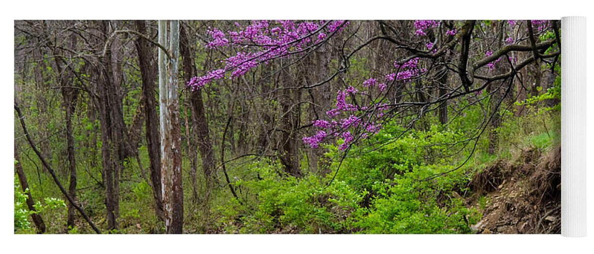 Nature Yoga Mat featuring the photograph Early Spring on Mill Creek 2 by Jeff Phillippi
