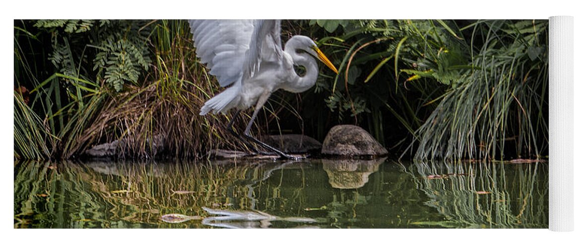 Egret Yoga Mat featuring the photograph Egret Hunting for Lunch by Chris Lord