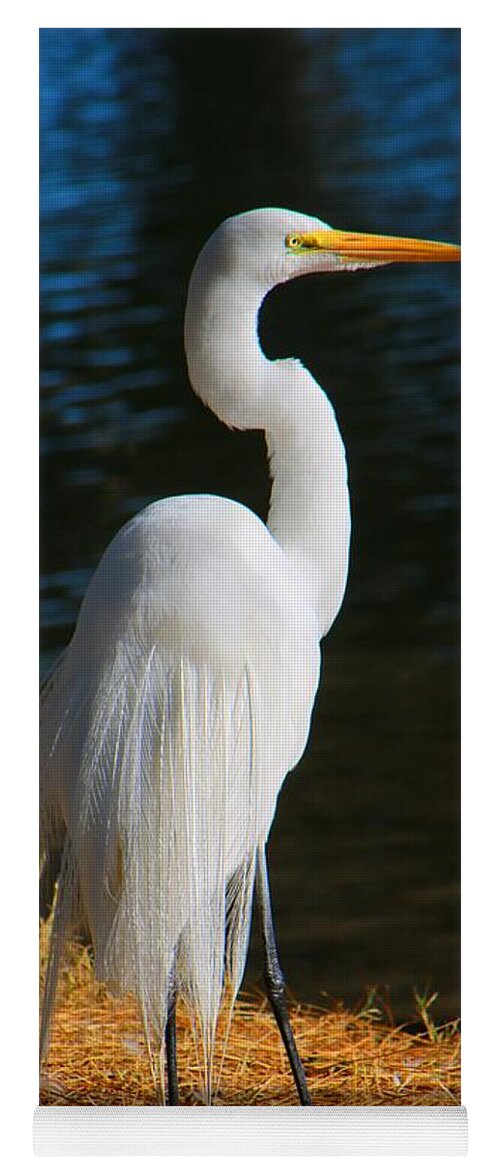 Egret Yoga Mat featuring the photograph American Egret by Kathryn Meyer