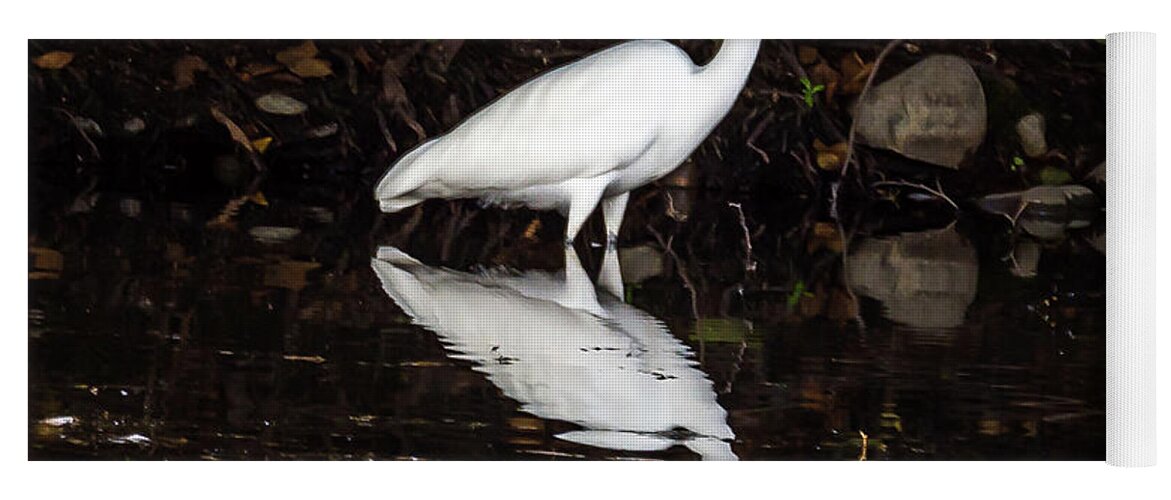 Great Egret Yoga Mat featuring the photograph Egret Reflection by Jack Peterson