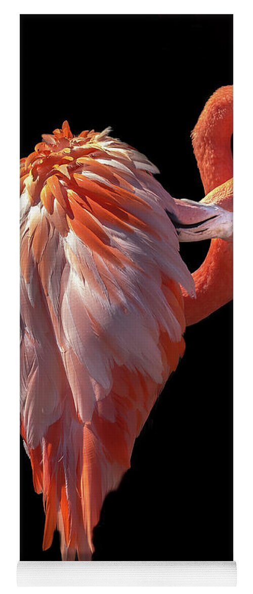 Dramatic Lighting Yoga Mat featuring the photograph Elegant Flamingo Preening by Liesl Walsh