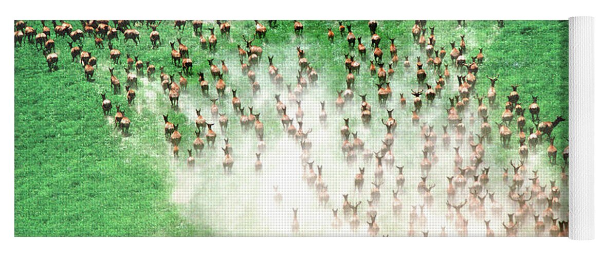 Elk Yoga Mat featuring the photograph Elk Stampede by Ted Keller