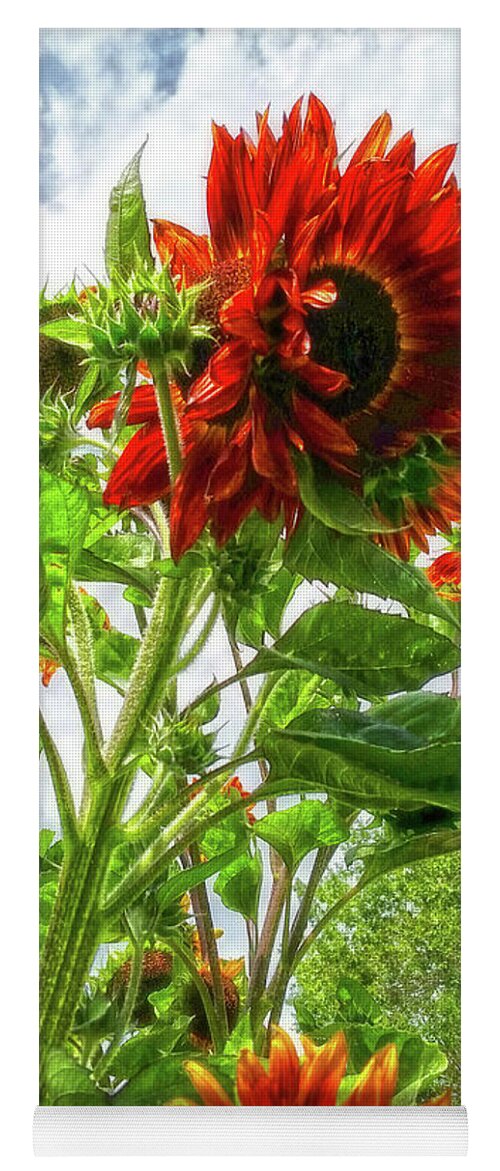 Sunflowers Yoga Mat featuring the photograph Emeralds and Fire by Amanda Smith