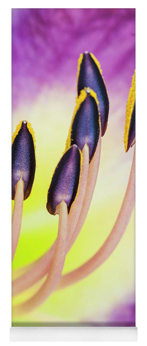 Daylily Yoga Mat featuring the photograph Emerging from fire. by Usha Peddamatham