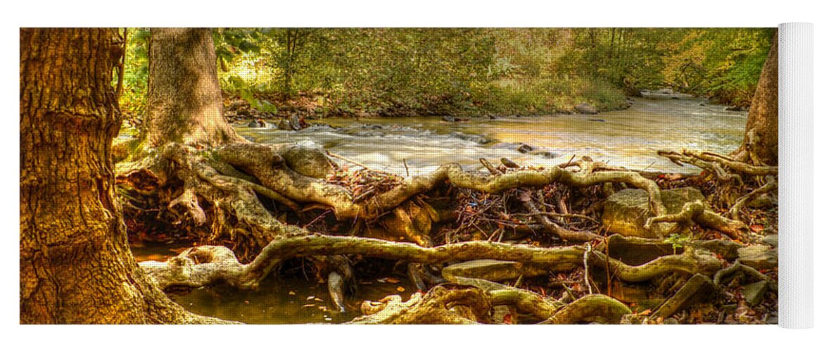 Trees Yoga Mat featuring the photograph Enchanted Forest by Ann Bridges