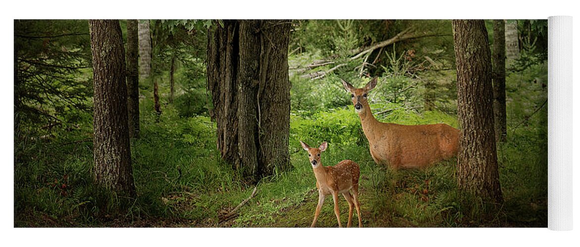Deer Print Yoga Mat featuring the photograph Enchanted Forest Deer Print by Gwen Gibson