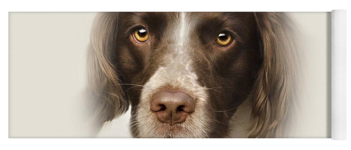 Dog Yoga Mat featuring the photograph English Springer Spaniel by Linsey Williams