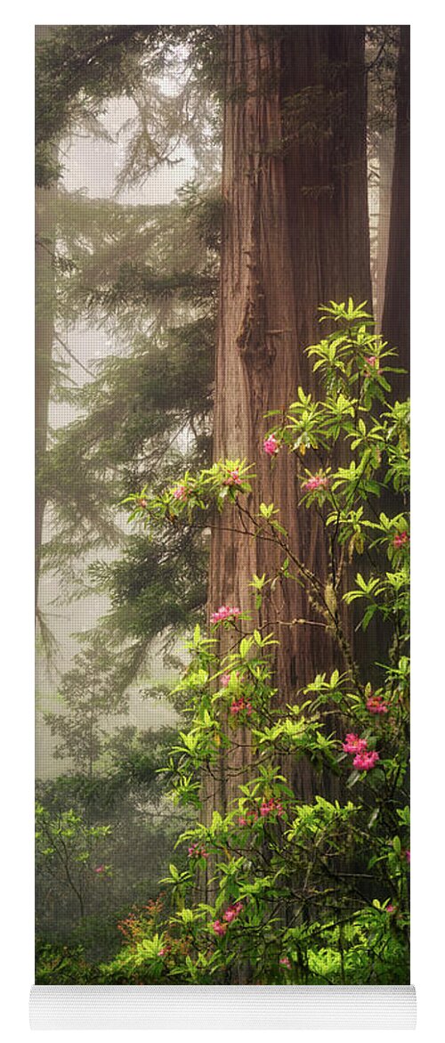 California Yoga Mat featuring the photograph Ethereal by Nicki Frates
