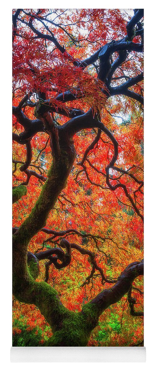 Trees Yoga Mat featuring the photograph Ethereal Tree Alive by Darren White