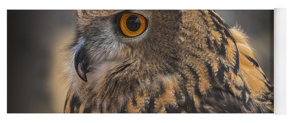 Eurasian Eagle Owl Yoga Mat featuring the photograph Eurasian Eagle Owl Portrait 2 by Mitch Shindelbower
