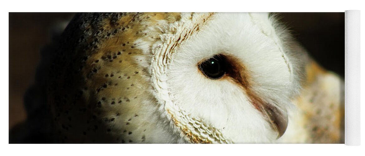 Owl Yoga Mat featuring the photograph European Barn Owl by Holly Ross