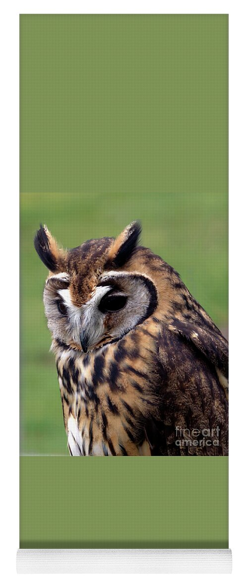 Owl Yoga Mat featuring the photograph Eurasian Striped Owl by Stephen Melia